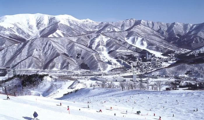 湯澤滑雪